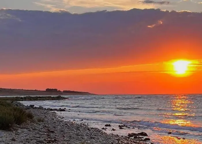 Pinia - Crowonder Luxury Rent